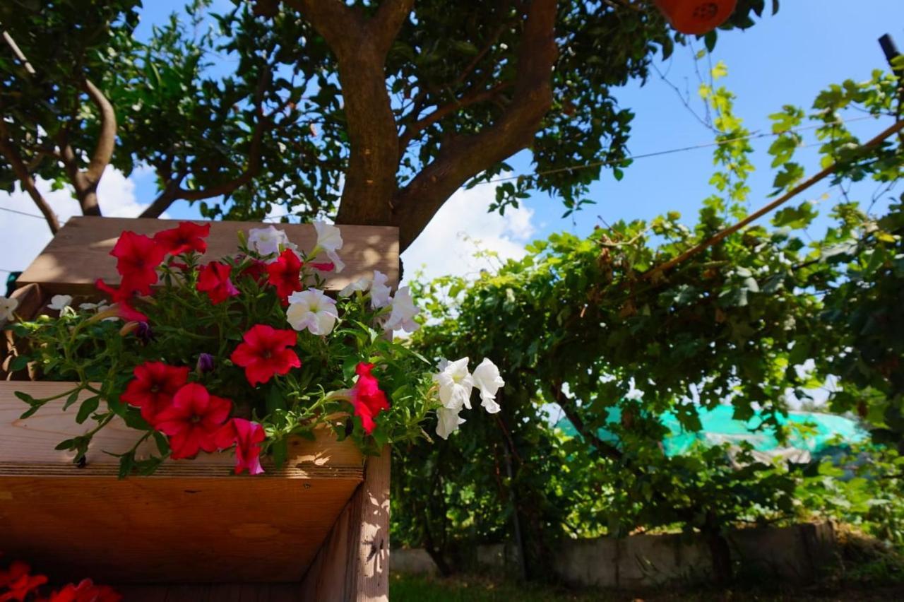 B&B Villa Del Sole Gizzeria Zewnętrze zdjęcie